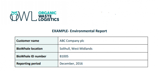 Example Environmental Report